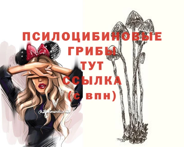 мескалин Коряжма