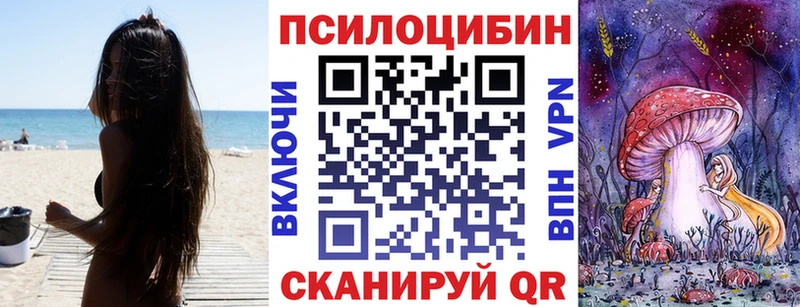 Купить где  Краснослободск  Псилоцибиновые грибы GOLDEN TEACHER 